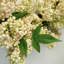 Artificial Hanging Berry Wreath.-1479041153