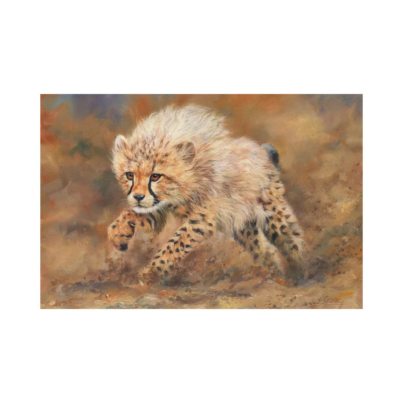 Cheetah Dust by David Stribbling - Wrapped Canvas Print, 20.32 cm H x 30.48 cm W