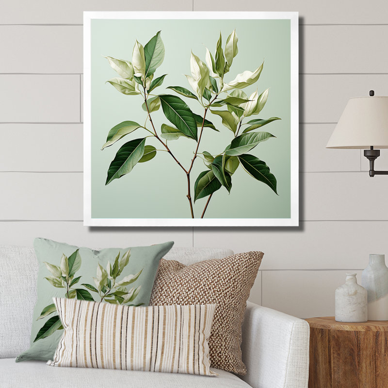 Menthe fraîche, minimalisme, feuilles, sérénité, H 24 po x l 24 po x P 1 po, Cadre simple blanc