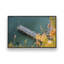 «Blue Serenity», reproduction sur toile-1135771202-1135771203