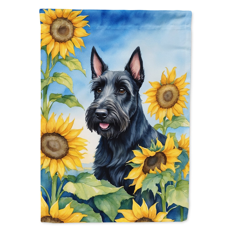 Drapeau de la maison du tournesol Malamute d'Alaska, Terrier écossais