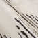 Lenamae Moraccan White Power-Loom Area Rug