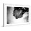 Single Picture Frame Painting-19492291