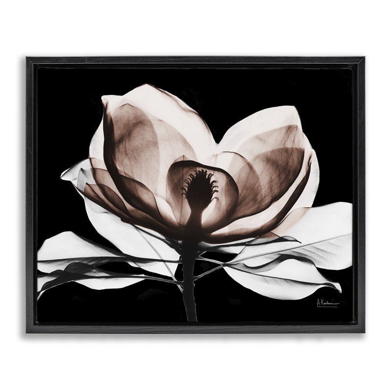Modern Mocha Magnolia  Framed Floater Canvas Wall Art, design by Albert Koetsier, Jet Black Floater Frame, 17" H x 21" W