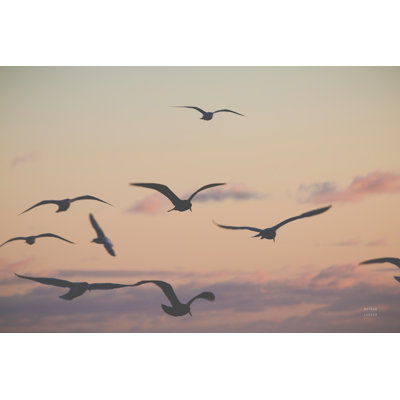 «Sunset Flock» par Nathan Larson, reproduction