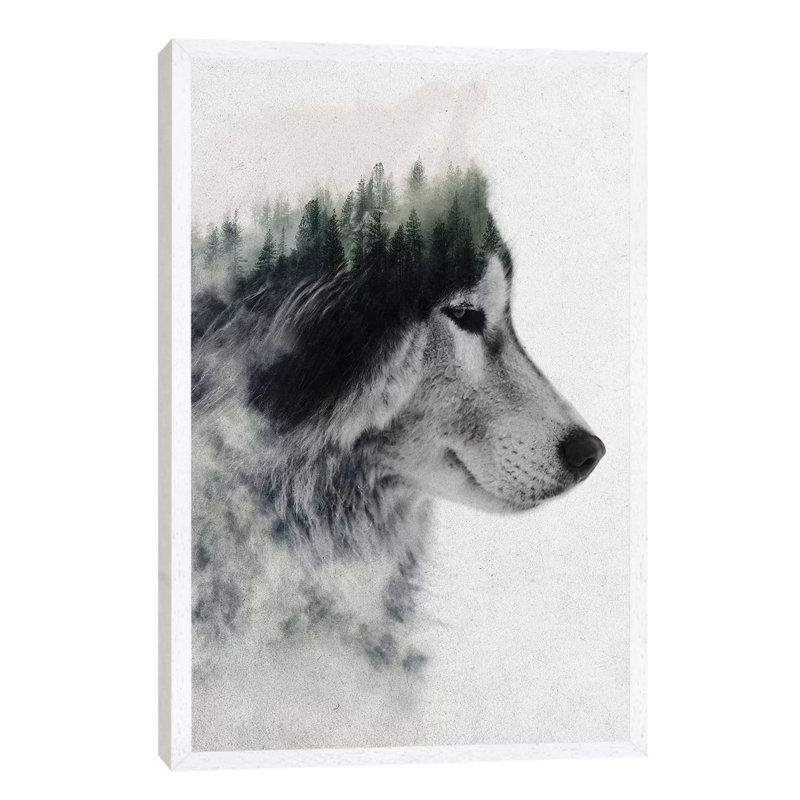Wolf Stare by Andreas Lie - Print on Canvas, White Framed, 66.04 cm H x 45.72 cm W