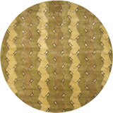 Aadi Brown/Tan Area Rug