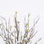 Tige en mousse 32 po H Farmhouse Twig