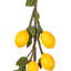 Guirlande artificielle citron