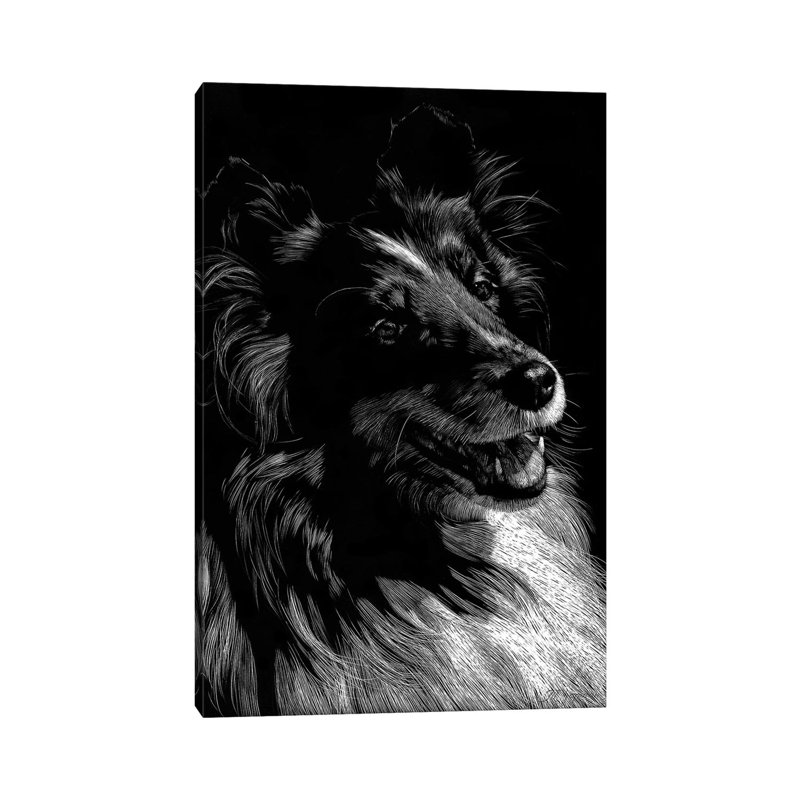 Canine Scratchboard XI 1 Piece Wrapped Canvas Wall Art, 30.48 cm H x 45.72 cm W