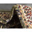 Zayandeh Oriental Indoor Rug-40288070