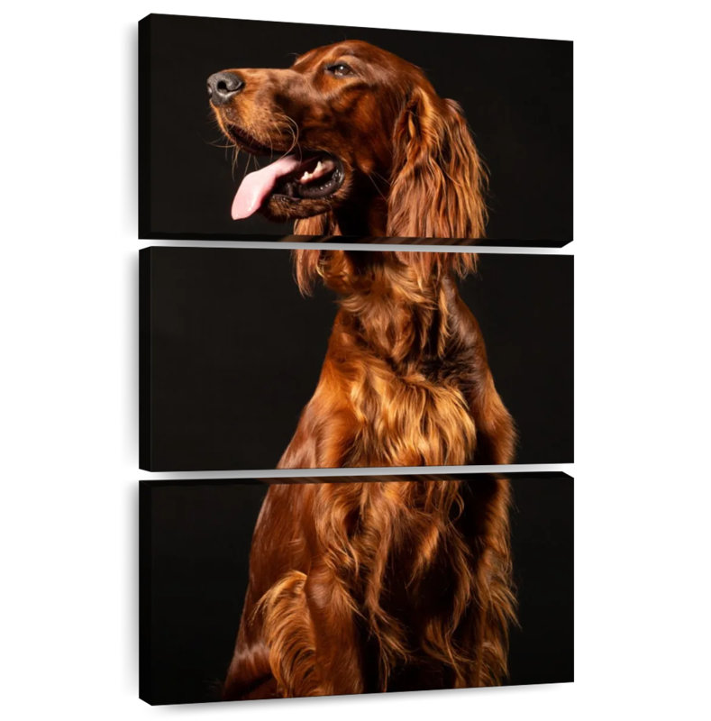 Brampt Irish Setter Dog, 32" H x 20" W