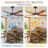 52" Modern Ceiling Fan with Lights and Remote, Black Ceiling Fan with Reversible Blades-2139063029-2139063028