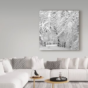 Trademark Art Incredi Winter Wonderland White On Canvas by Incredi ...
