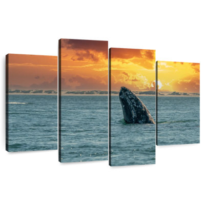 Baleine grise Brampt
