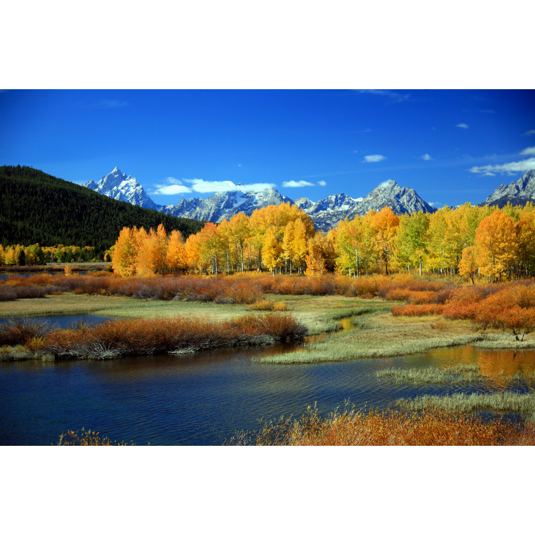 Herbst am Oxbow Bend