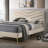 Upholstered Platform Bed-1763609441