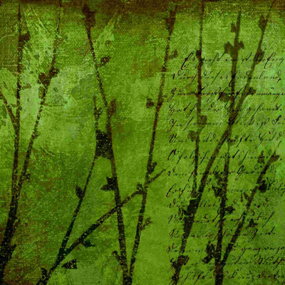 " Bright Nature 1 "