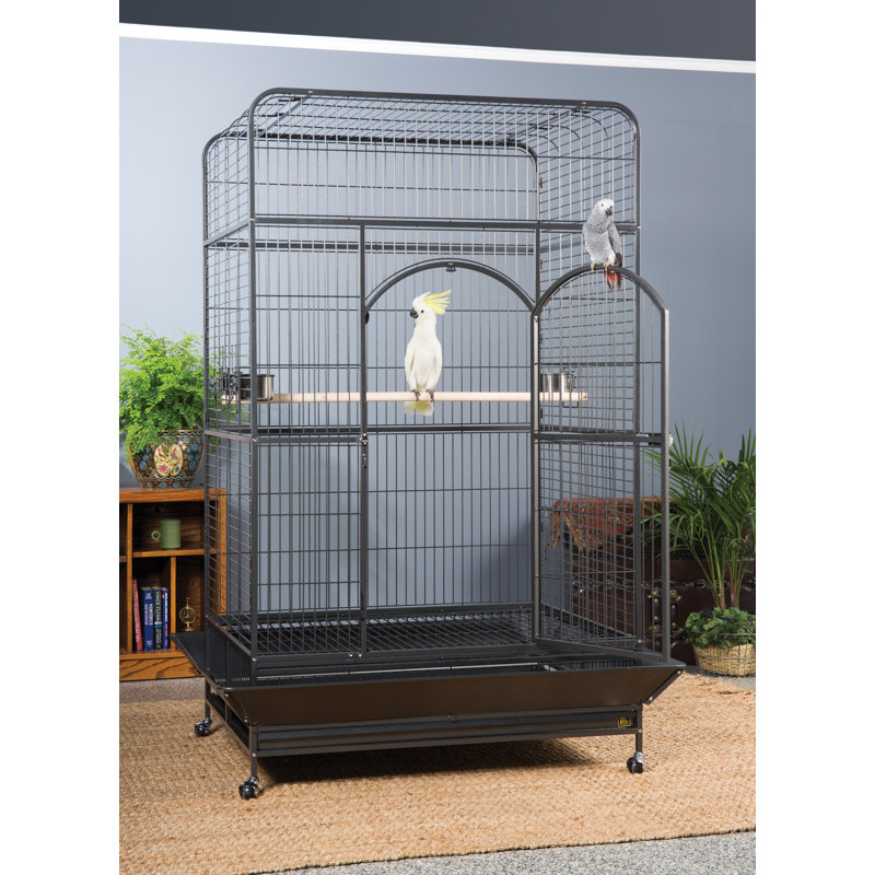 Cage à ara Briceno avec roulette