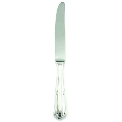 Bavaria Stainless Steel Dinner Knife