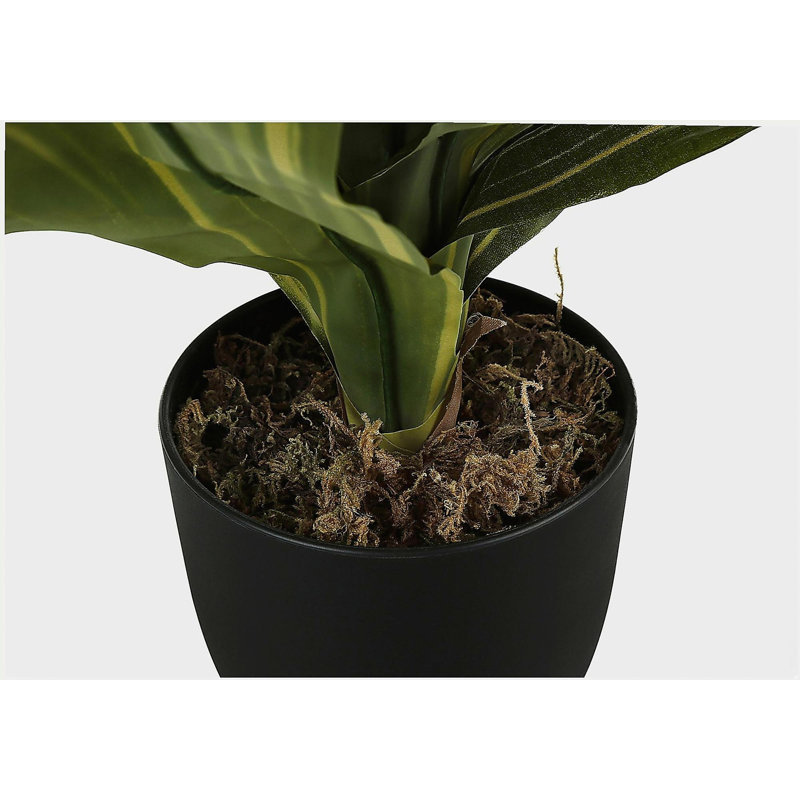 Plante artificielle, 17 po de hauteur, Dracaena, intérieur, faux, faux, table, verdure, pot, touche réelle, décoratif, feuilles vertes, pot noir
