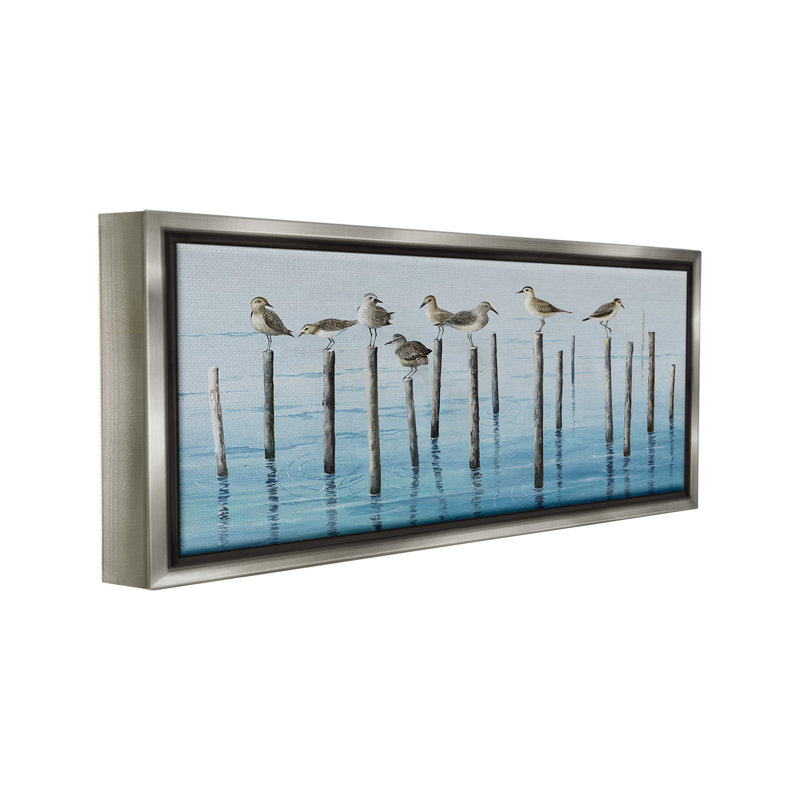 "Cadre perché d'oiseaux de mer flottants" par Max Maxx sur toile, Cadre flottant gris lustré, H 14 po x l 31 po