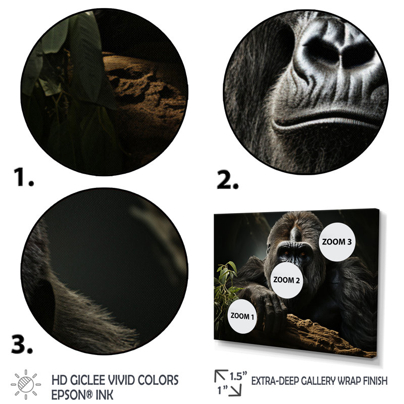 «Afrique Gorillas Serenity» sur impression sur toile, H 12 po x l 20 po x P 1 po, Cadre photo blanc