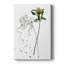 «Botany Flower I», impression sur toile tendue-760419830