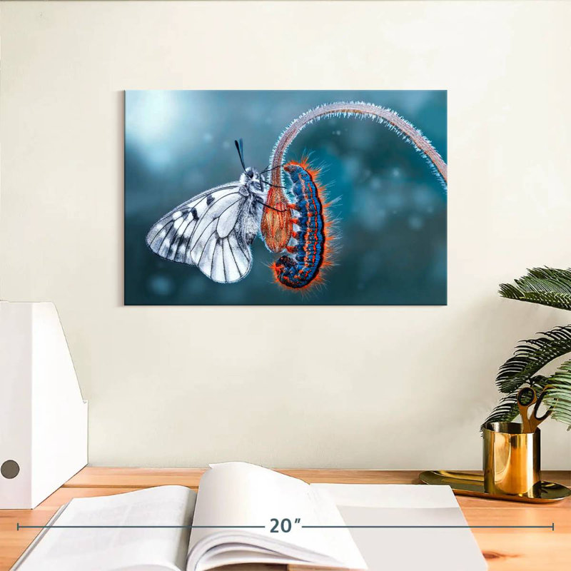 Brampt Butterfly Destiny, 8" H x 12" W