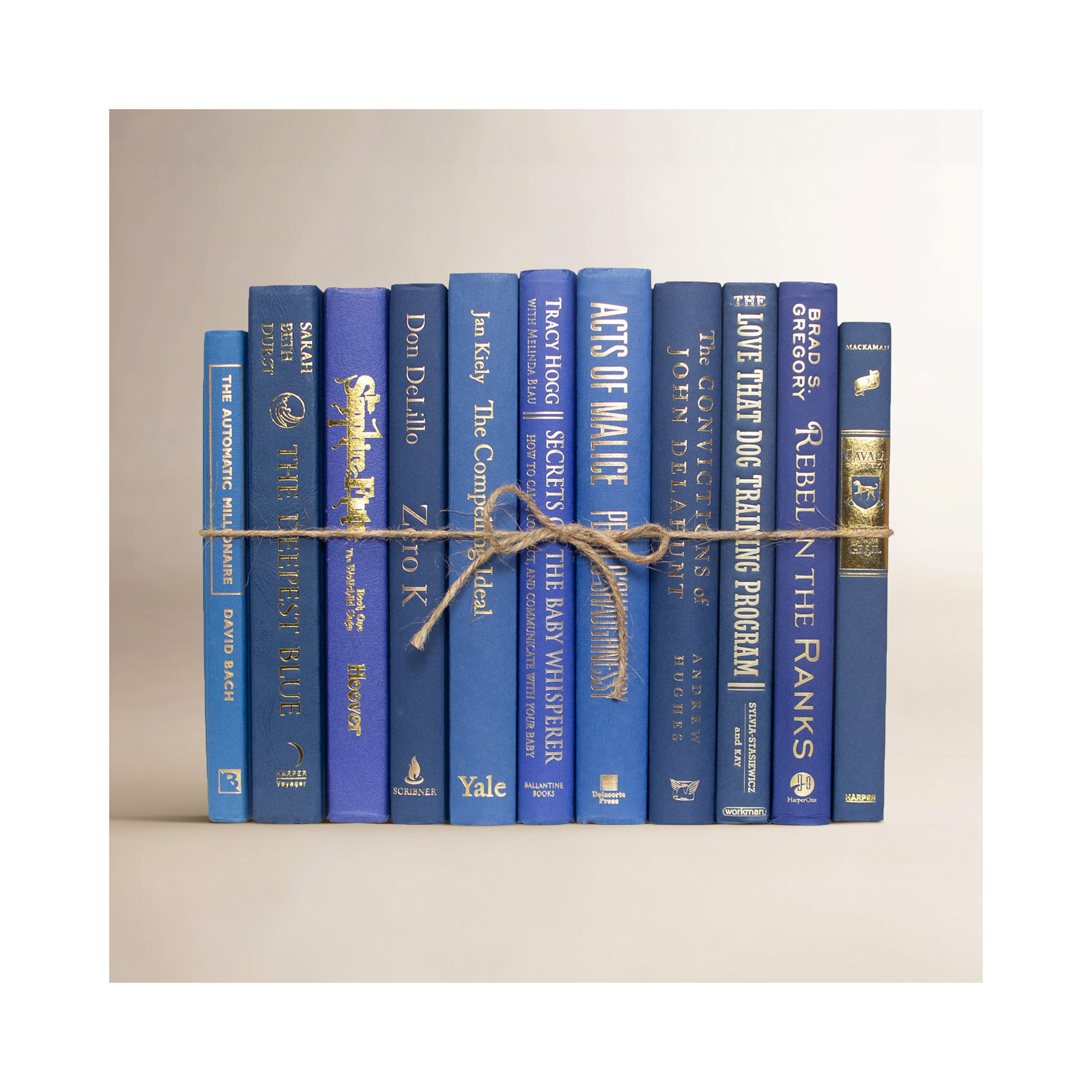 Serefina Decorative Books - Denim & Gold Book Bundle - 1 Foot of Blue Books