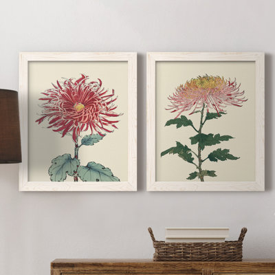 Toile de chrysanthème