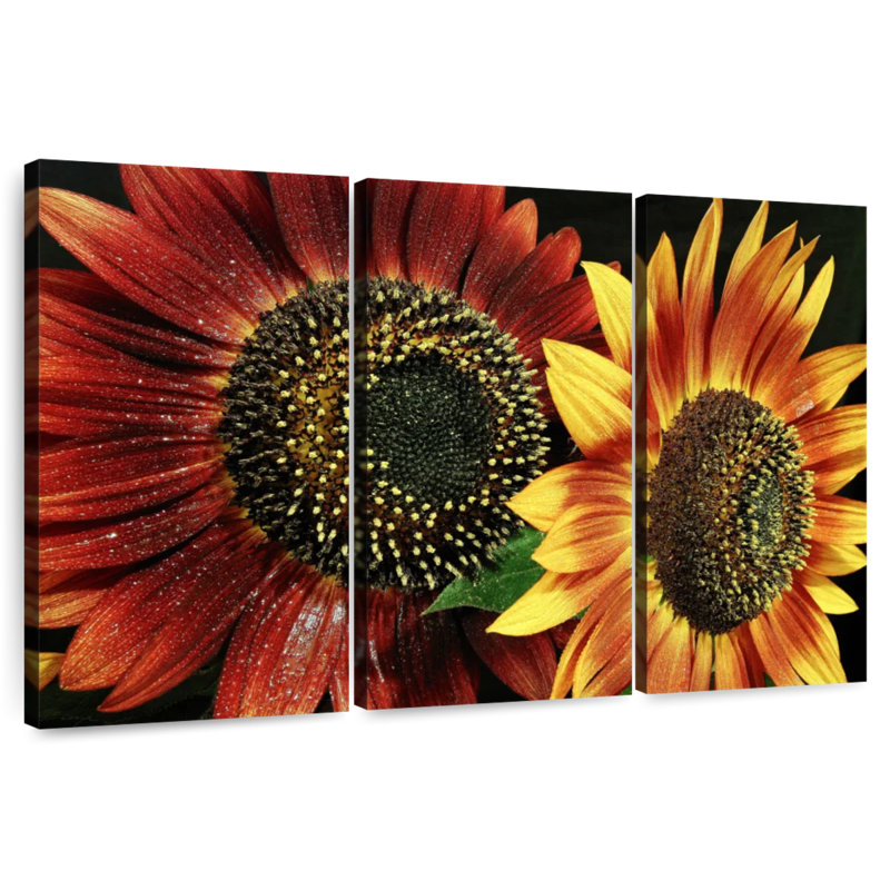 Harnek Flower I, 36" H x 57" W
