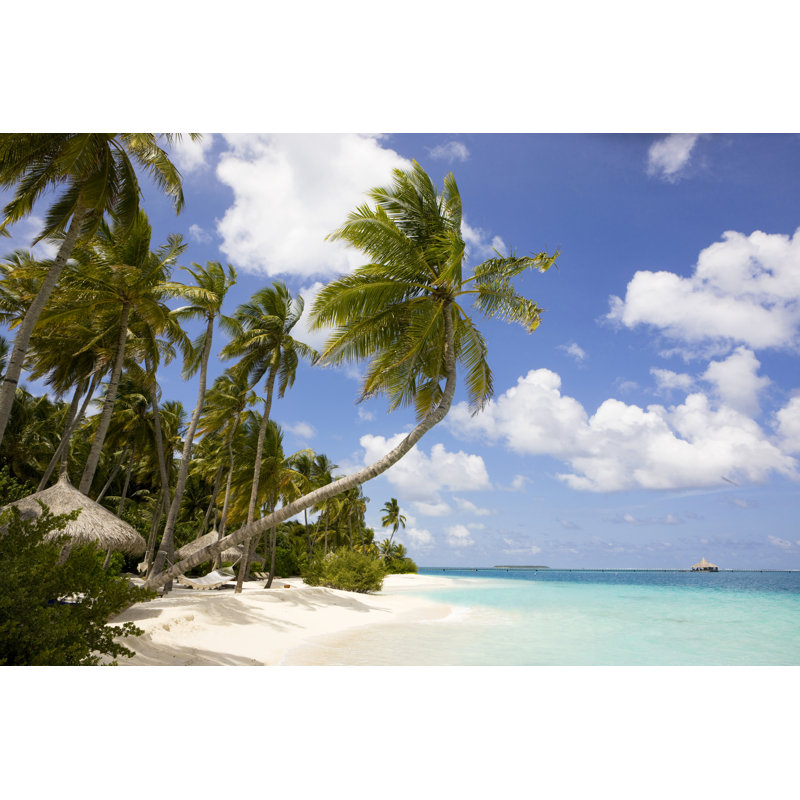 Maldives Beach - Wrapped Canvas Print, 51cm H x 76cm W