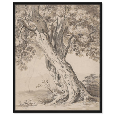 Deux croquis classiques sur toile de chêne entrelacés 800 par 