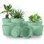 Pots à plantes d'intérieur avec drainage-1952380640