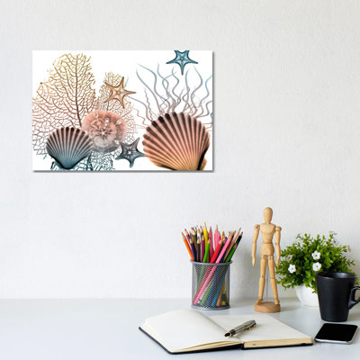 Sea Collective II 1 Piece Wall Art on Canvas