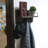 Movses Solid Wood Floating Shelf