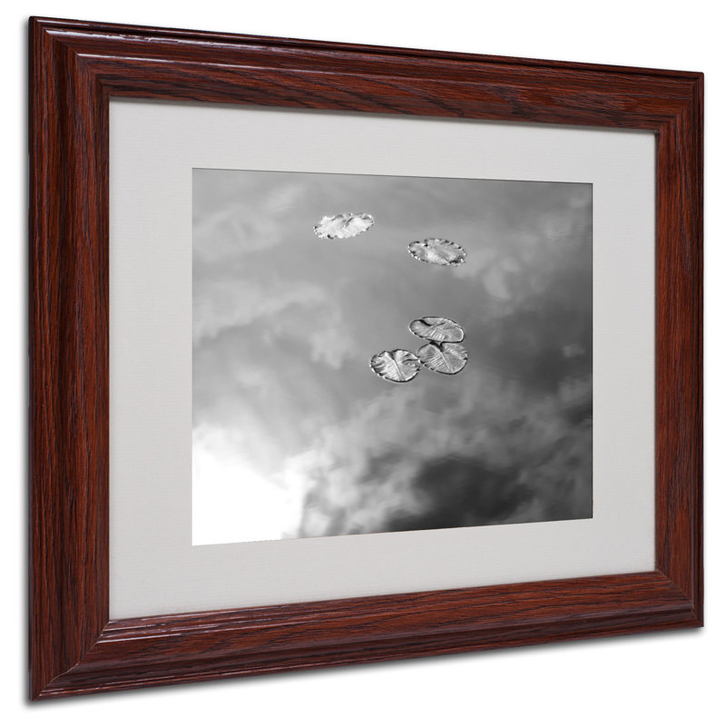 « lily pad & sky » par patty tuggle, impression encadrée encadrée, H 11 po x l 14 po x P 0,5 po, Brun - Biseautée