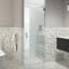 Albedo 29 in. x 78 in. Fully Frameless Hinge Shower Door-1329131607