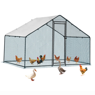 Emmeric Walk In Chicken Run