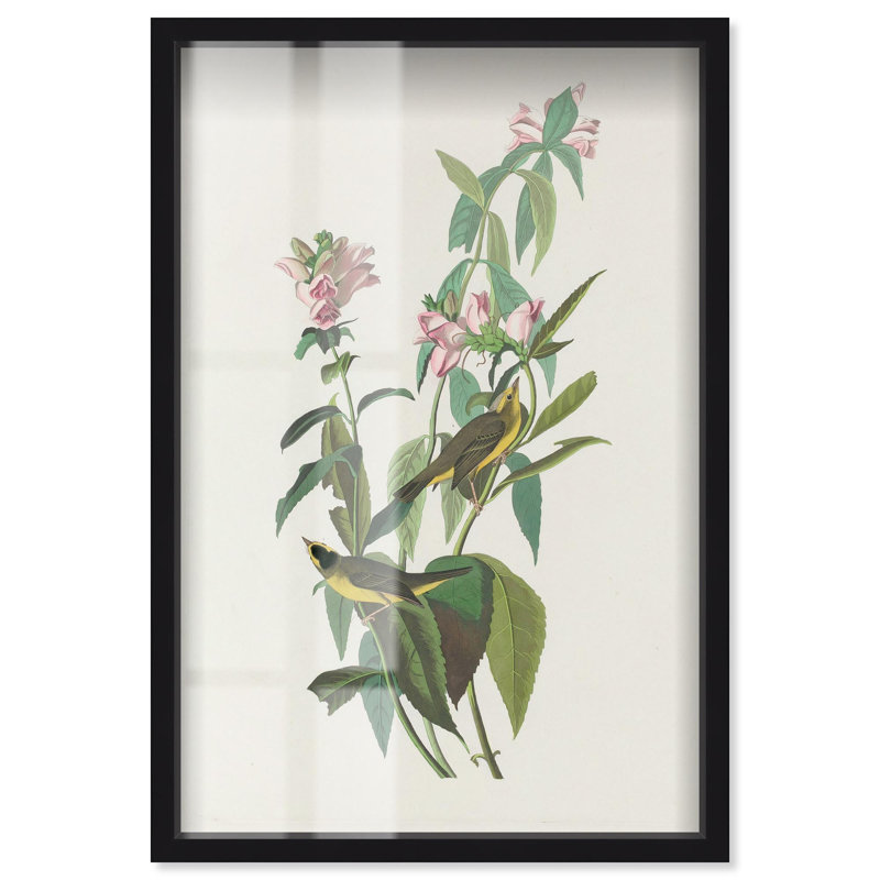 «Cheerful pair shadowbox print», art botanique par Art Remedy, H 16 po x l 11 po, Noir