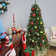North Valley Spruce Tree with Multicolor Lights