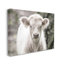 «Stupell Industries White Cow Calf», art mural sur toile par Nathan Larson-91314897-91314899