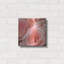 Rose rose 2 pi par Photoinc Studio, art mural en métal, 24 po x 24 po-944681214