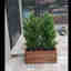 Customer photo 2 of 2