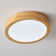 LED Flush Mount