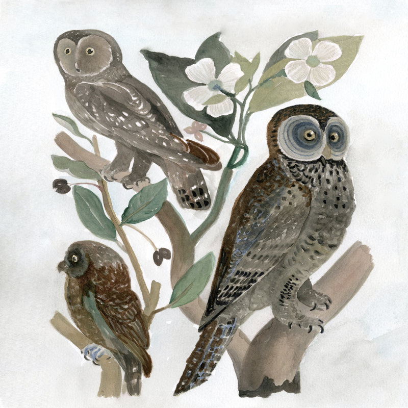 Traditional Owls II by Stellar Design Studio - Wrapped Canvas Painting, 122cm H x 122cm W