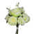 Lime est en rupture de stock