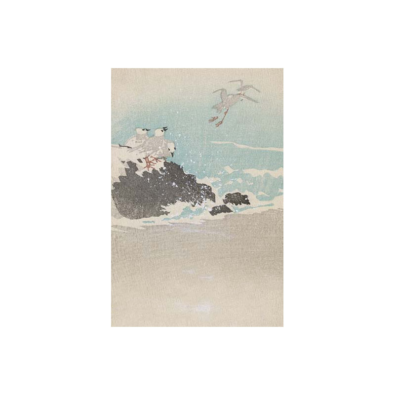 « plovers over vagues », impression, H 30 po x l 20 po