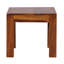 Mumbai Solid Wood End Table